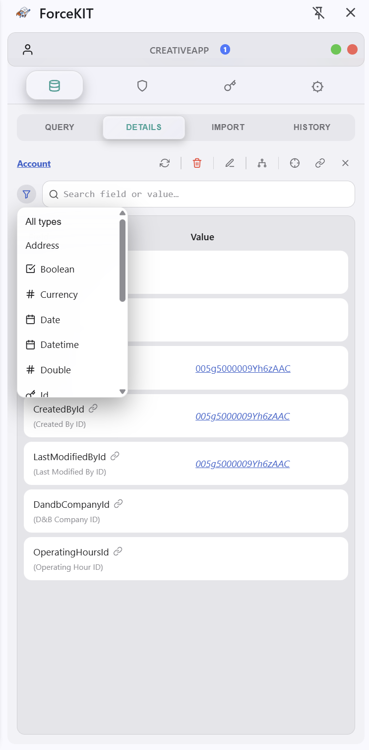 Filtering record fields by type in ForceKIT's Detail view