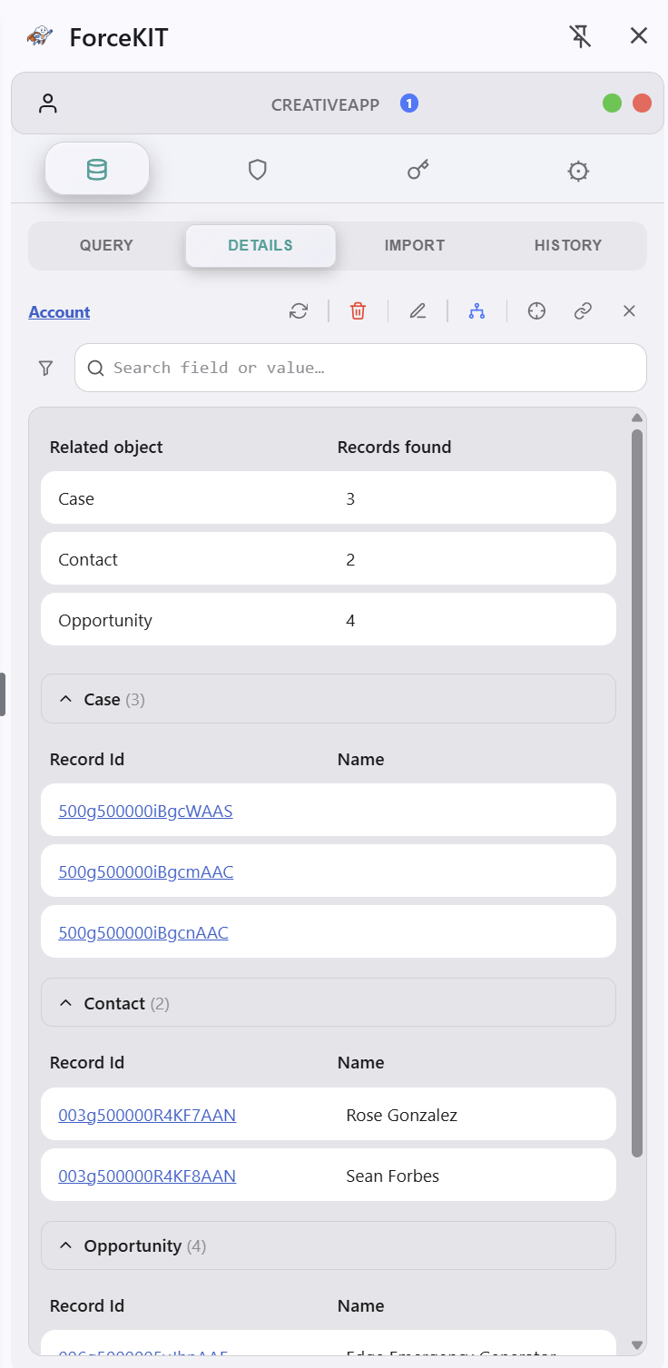 Viewing every related record grouped by object in ForceKIT